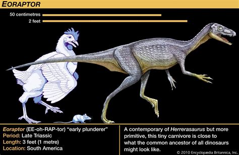 Dinosaur - Archosaurs, Reptiles, Triassic | Britannica