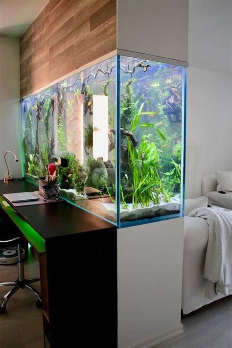 5 Best And Simple Aquarium Decoration Ideas | Amazing aquariums, Wall aquarium, Aquarium design