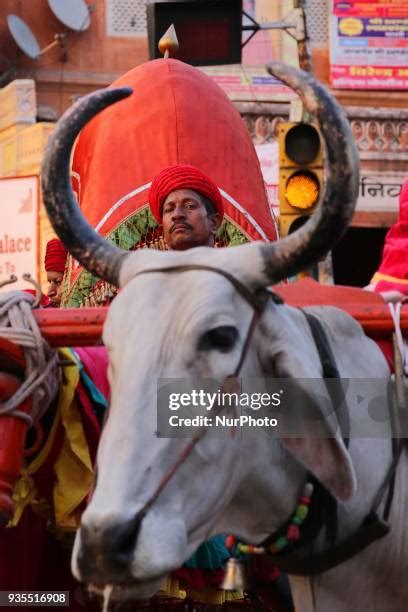 345 Gangaur Festival Stock Photos, High-Res Pictures, and Images ...