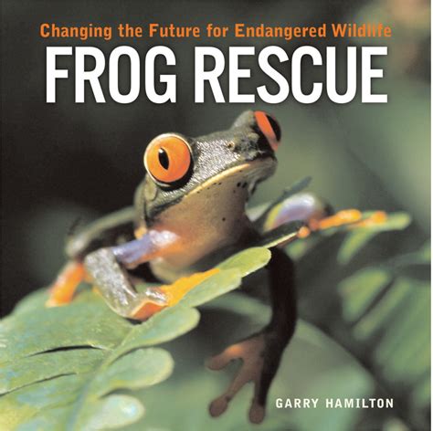 Frog Rescue - Wildlife Around the World