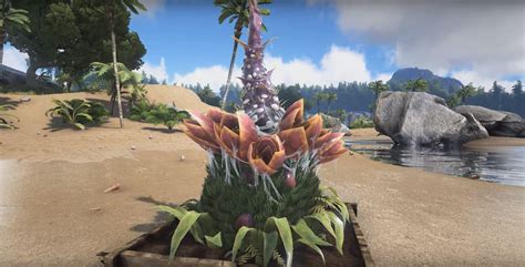 [Top 5] Ark Survival Evolved Best Crops To Grow | Gamers Decide