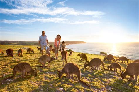 Guide to Kangaroo Island - Tourism Australia