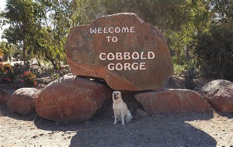 Cobbold Gorge – Let's Go Travel Australia