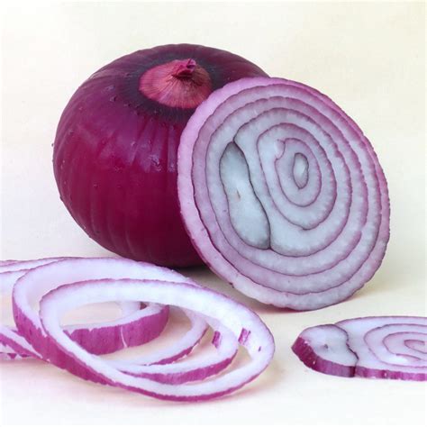 Red Onion Organic Seeds Heirloom Open Pollinated Non GMO - Etsy