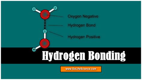 Hydrogen Bonding: What is Hydrogen bonding and its types?