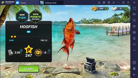 Fishing Clash Mod Apk 1.0.130 with Unlimited Coins, Gems and Money Mod ...