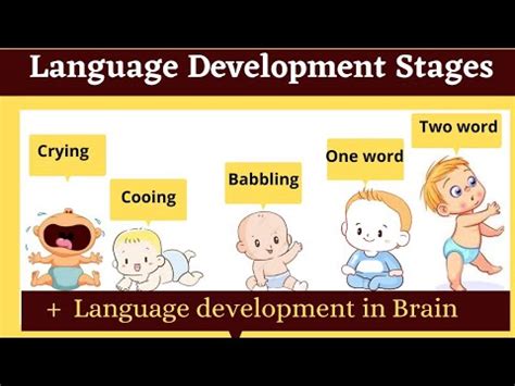 What is the sequence of language development? – EN General