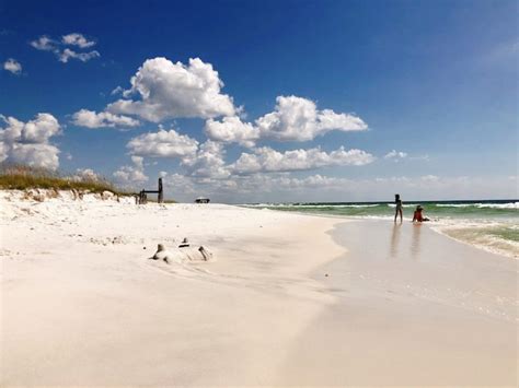 5 Reasons Why You Should Visit Shell Island -Panama City Beach, Florida