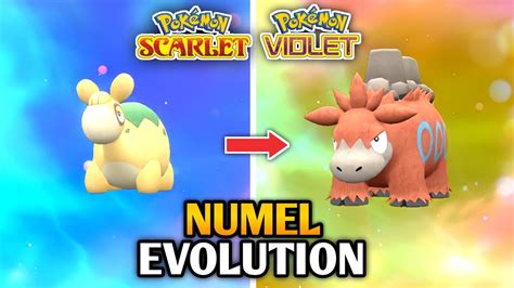 Pokemon Camerupt Evolution Chart