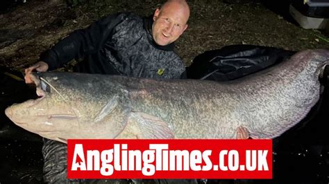 Essex angler catches astonishing record haul of monster catfish on ...