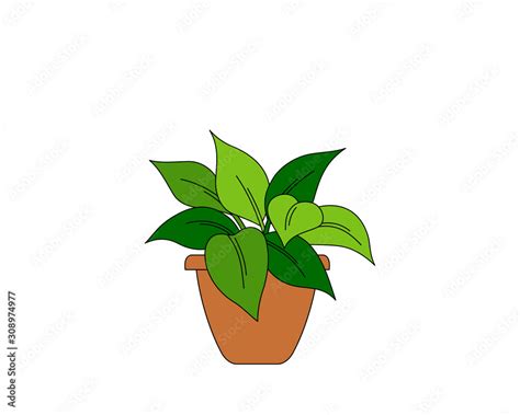 Cartoon drawing of a house plant in a terracotta pot, vector ...