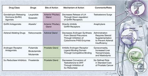 Androgen Deprivation Therapy for Prostate Cancer | Oncology | JAMA | JAMA Network