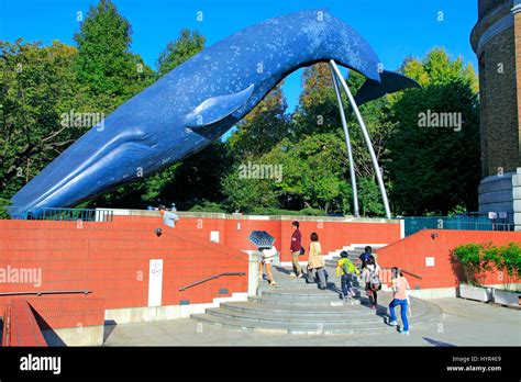 National Museum of Nature and Science Tokyo Japan Stock Photo - Alamy