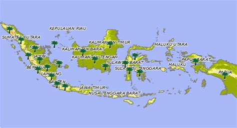 Sejarah Perkembangan Kelapa Sawit Di Indonesia