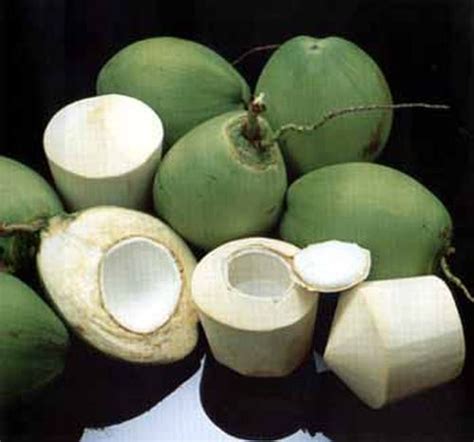 Healing cancer naturally - with young coconuts | Vaccination ...