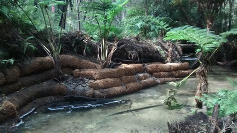 Winmalee Creek Erosion Control Project - Total Earth Care