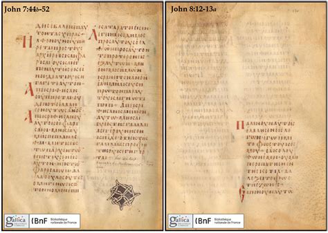 The Text of the Gospels: Codex Regius (019) - The Manuscript-King of France