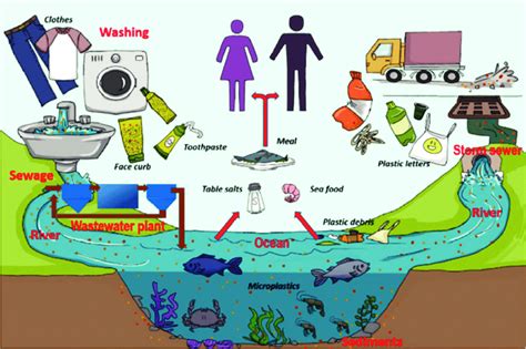 Microplastic pollution in aquatic environments and impacts on food... | Download Scientific Diagram