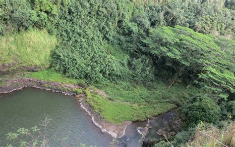 Trekking to the Base of Wailua Falls? | Food 8nd Trips