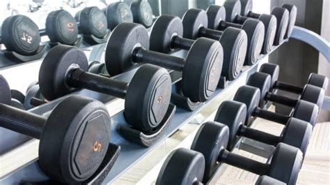 10 Great DIY Dumbbell Rack Plans To Keep Your Weights Organized