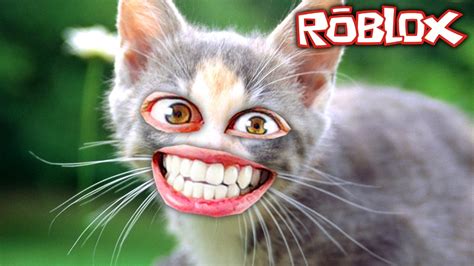 The cutest kitten in Roblox | FunnyCat.TV