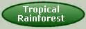 Images Amazon Rainforest - Tropilab