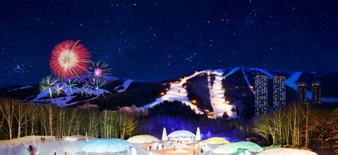 Hoshino Resort TOMAMU-TOMAMU powder ski | POWDER SKI JAPAN