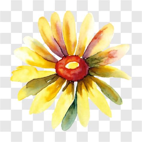 Download Yellow Daisy Watercolor Painting PNG Online - Creative Fabrica