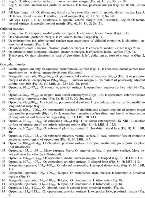 GROSS MUSCULAR ANATOMY OF LIMULUS POLYPHEMUS (XIPHOSURA, CHELICERATA) AND ITS BEARING ON ...