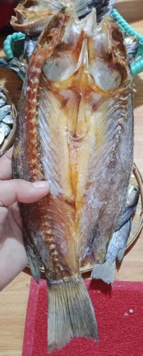 Dried BANAK Fish fresh from Masbate ¼ kilo. | Lazada PH