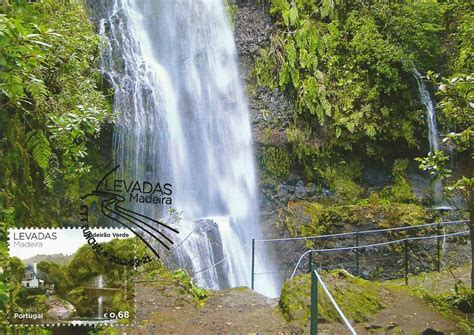 Postcards on My Wall: Laurisilva of Madeira, Portugal (UNESCO)