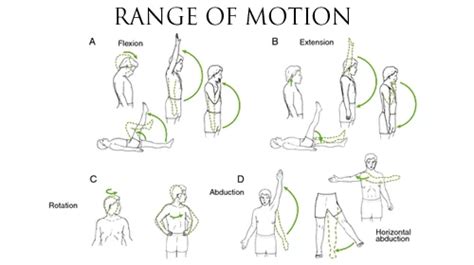 Range Of Motion Of Body Joint And Physiotherapy Exercise