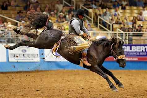 Silver Spurs Rodeo 2023 Coming! — Orlando Sports Mag