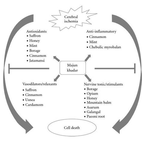 Hypothetical presentation of possible mechanisms of action of Majun ...