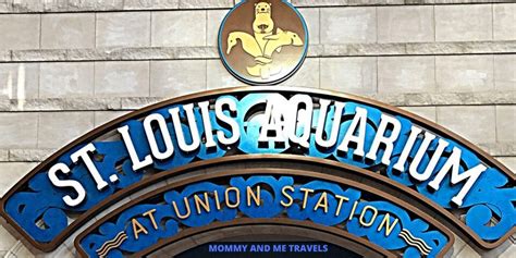 Things To Do At Union Station St Louis - Mommy And Me Travels