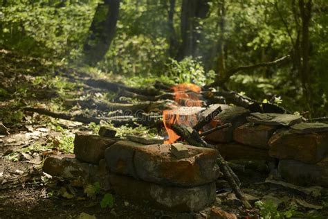 Campfire in the forest stock photo. Image of flame, grass - 115208692