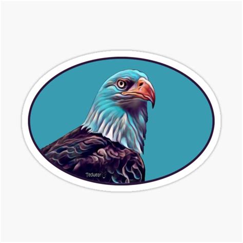 "Bald Eagle" Sticker for Sale by Tedwear | Redbubble