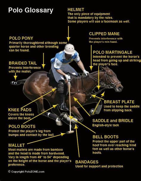 Pin by Work To Ride on #Polo | Polo horse, Horses, Polo pony