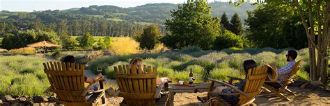 Santa Rosa Wineries: Your Complete Guide - Wine with Paige