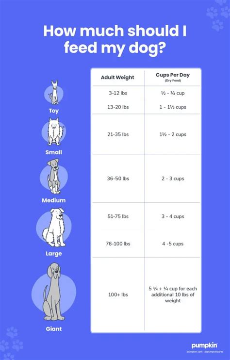 How Much To Feed Your Dog: Vet-Approved Chart — Pumpkin®