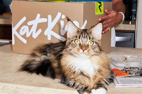 Cat Food Subscription | Fresh Cat Food Delivery | KatKin