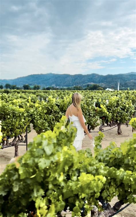 Napa Wineries List: The 3 Best wineries in Napa Valley