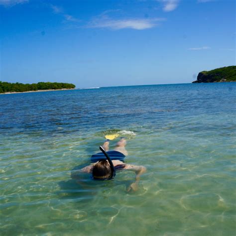 vieques island snorkeling - Something In Her Ramblings