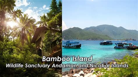 Bamboo Island Wildlife Sanctuary Andaman and Nicobar Islands - Aryan Go