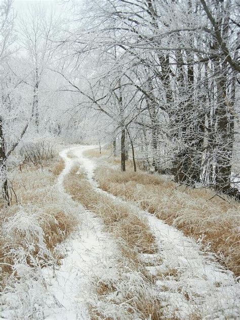 Winter | Winter landscape, Winter scenery, Winter scenes