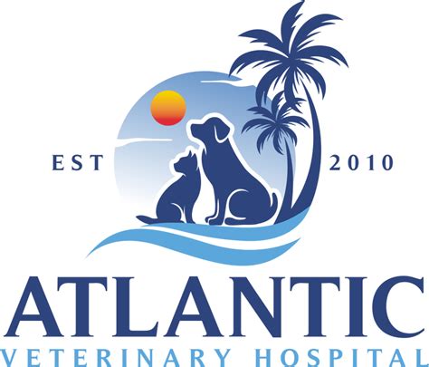 Family-Friendly Vet Hospital in South Jacksonville, FL | Atlantic ...