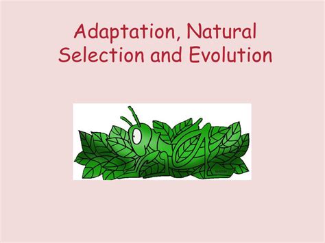 PPT - Adaptation, Natural Selection and Evolution PowerPoint ...