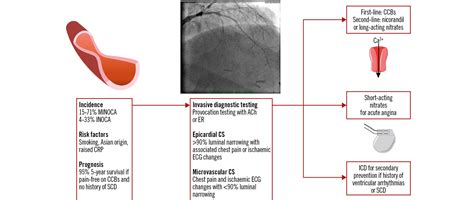 Coronary spasm and vasomotor dysfunction as a cause of MINOCA ...