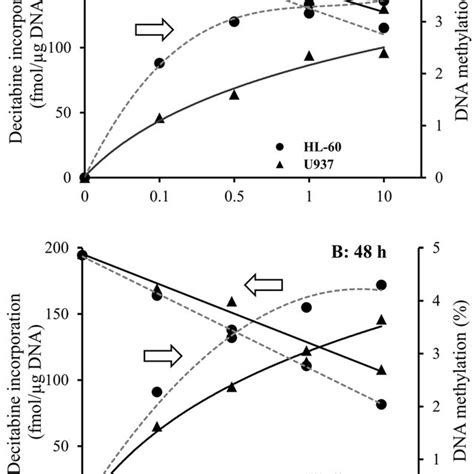 Schematic representation of DNA hydrolysis by a one-step tetra-enzyme ...