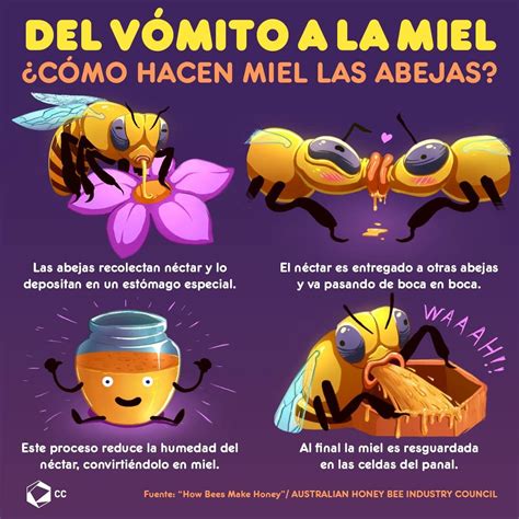 Que proceso,el de la miel! True Facts, Weird Facts, Funny Facts, Spanish Language Learning ...
